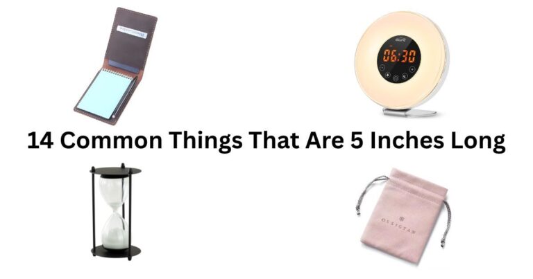 How Long Is 5 Inches? 14 Common Things That Are 5 Inches Long