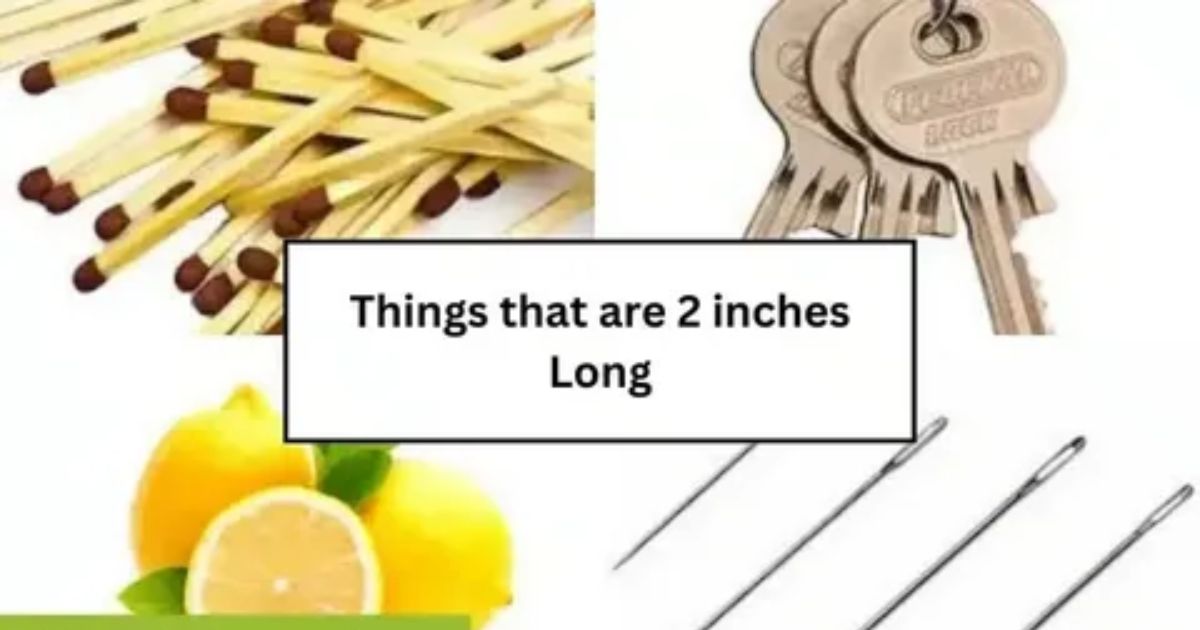 14 Common Things That Are 2 Inches Long
