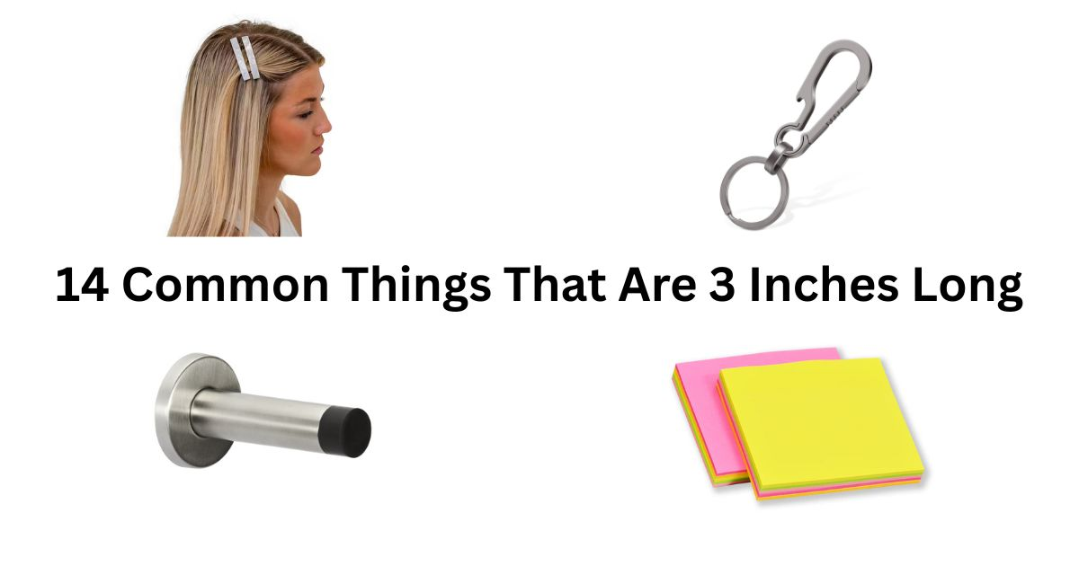 14 Common Things That Are 3 Inches Long