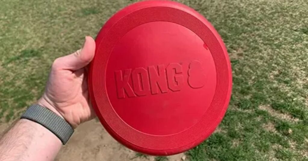 Frisbee (Small Standard Flying Disc)