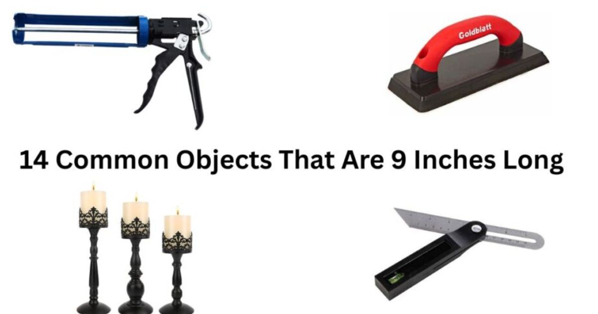 How Long Is 9 Inches? 14 Common Comparisons That Are 9 Inches Long