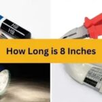 How Long is 8 Inches? 13 Everyday Objects That Are 8 Inches Long