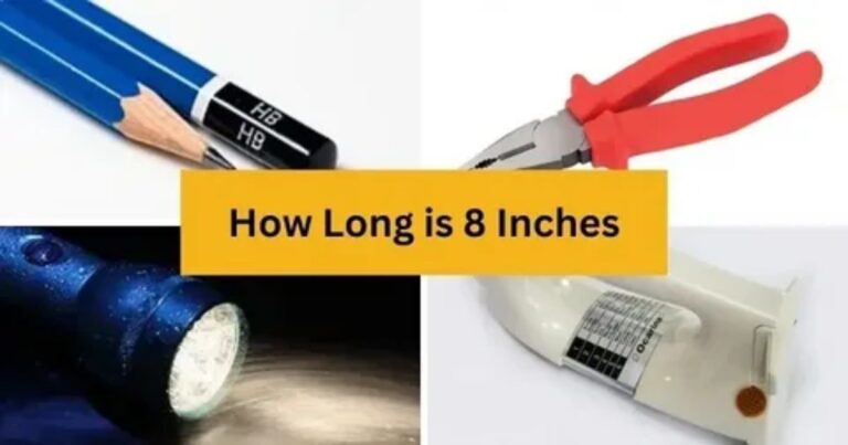How Long is 8 Inches? 13 Everyday Objects That Are 8 Inches Long