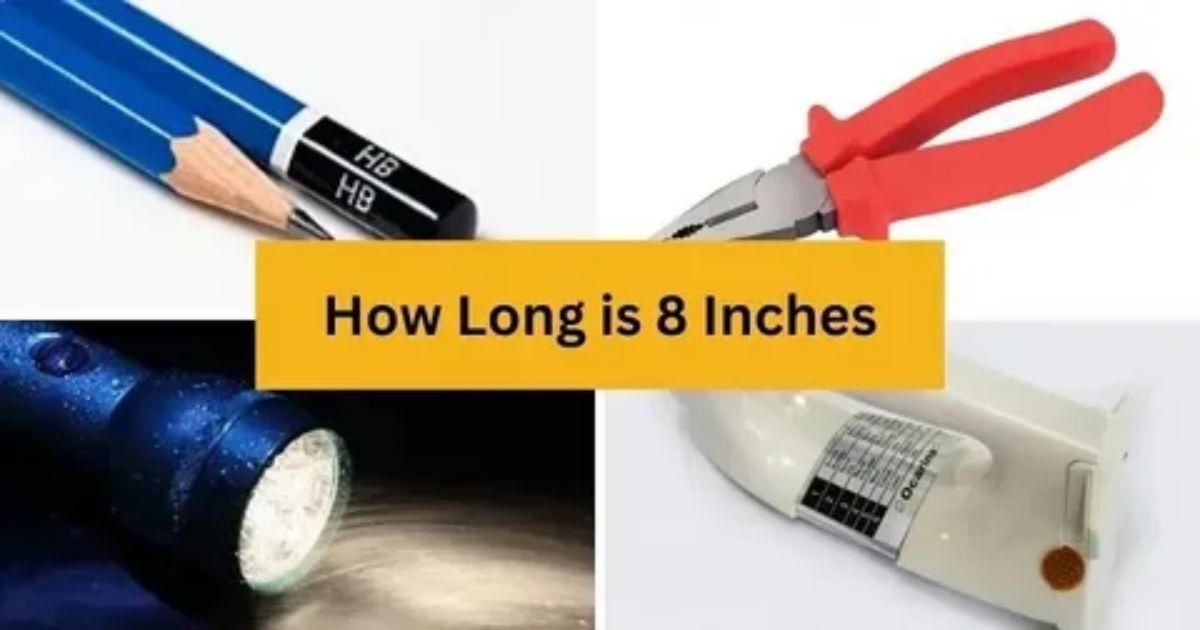 How Long is 8 Inches? 13 Everyday Objects That Are 8 Inches Long